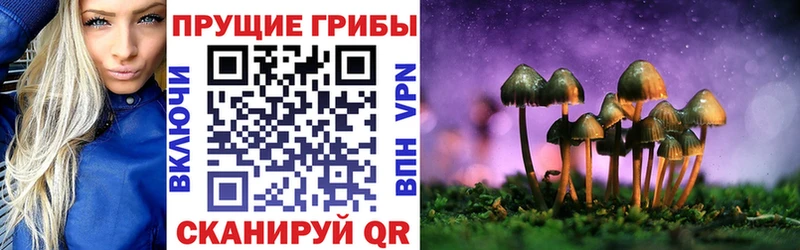 купить наркотики цена  MEGA ТОР  Галлюциногенные грибы Psilocybine cubensis  Черняховск 